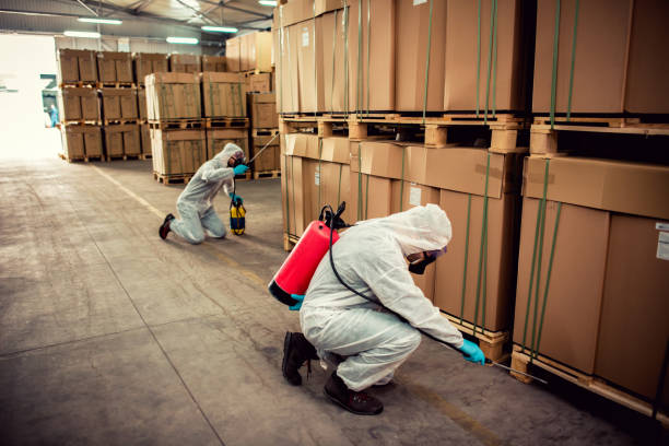 Best Bed Bug Extermination  in Fife, WA