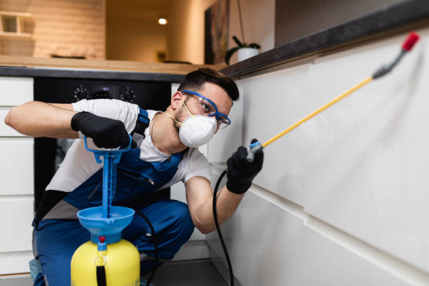 Best Best Pest Control Near Me  in Fife, WA