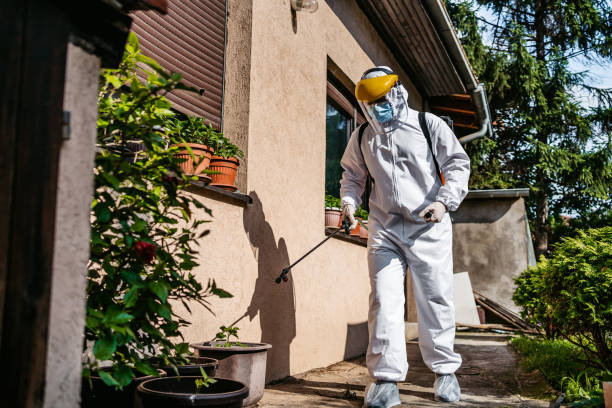 Best Pest Prevention Services  in Fife, WA