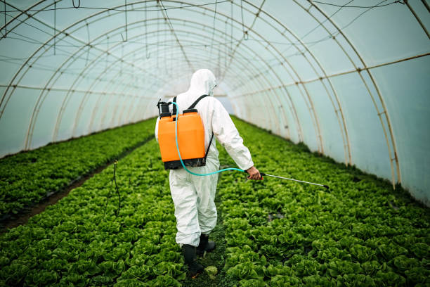 Reliable Fife, WA Pest Control Solutions
