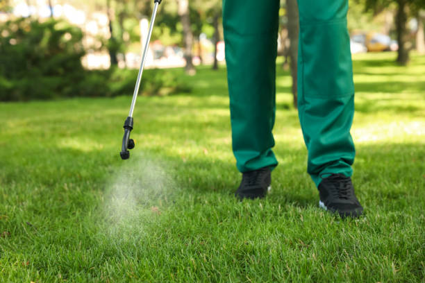 Best Flea Control Services  in Fife, WA