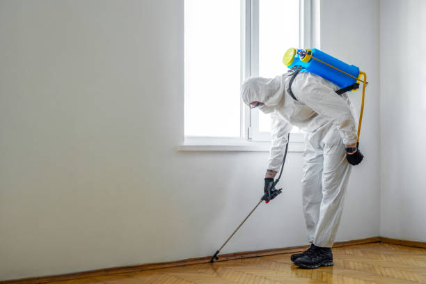 Best Flea Control Services  in Fife, WA