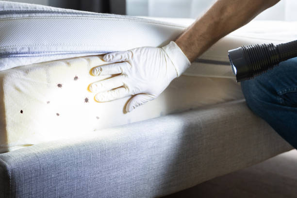 Best Pest Inspection Near Me  in Fife, WA