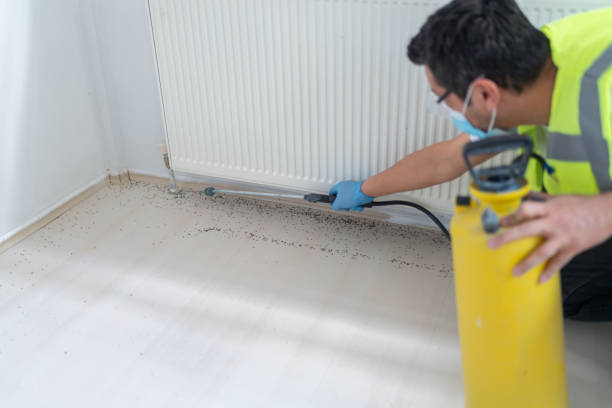 Best Pest Inspection Near Me  in Fife, WA